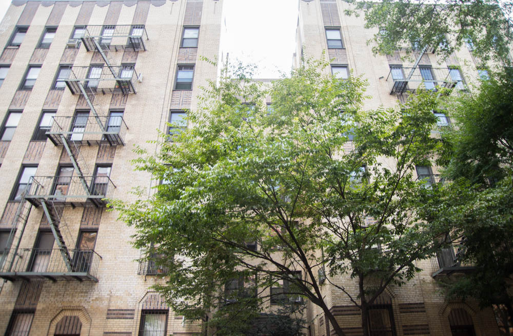 The Jesse at 3rd 176 E 3rd St, Manhattan, NY 10009 - Photo 4 of 4