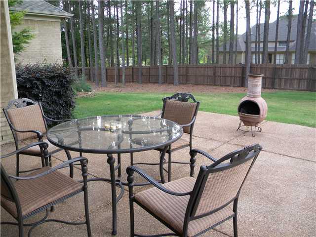 4517 Whisper Spring Drive Collierville, TN 38017 - Photo 10 of 12 You will love this backyard-rest , relax, play-You can have it all!