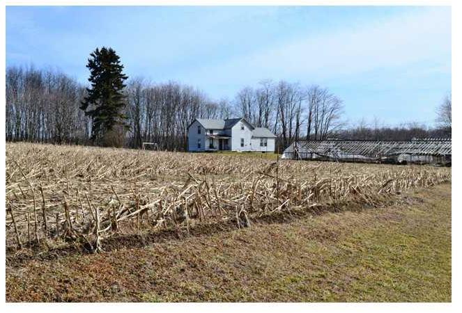 242 Delaware Road Fredonia, PA 16124 - Photo 11 of 16