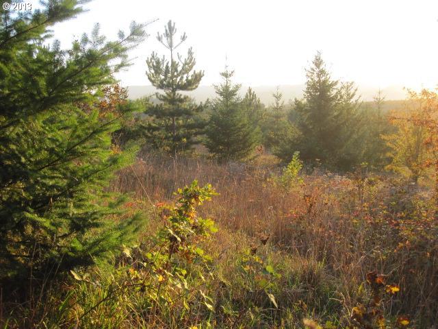 0 Southwest Hardebeck Road Gaston, OR 97119 - Photo 8 of 11