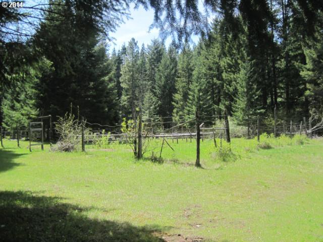 119 Carr Road Trout Lake, WA 98650 - Photo 2 of 10 Gallery Image 2