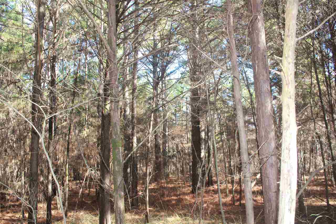 5690 Hernando Road Byhalia, MS 38611 - Photo 19 of 19 Gallery Image 19