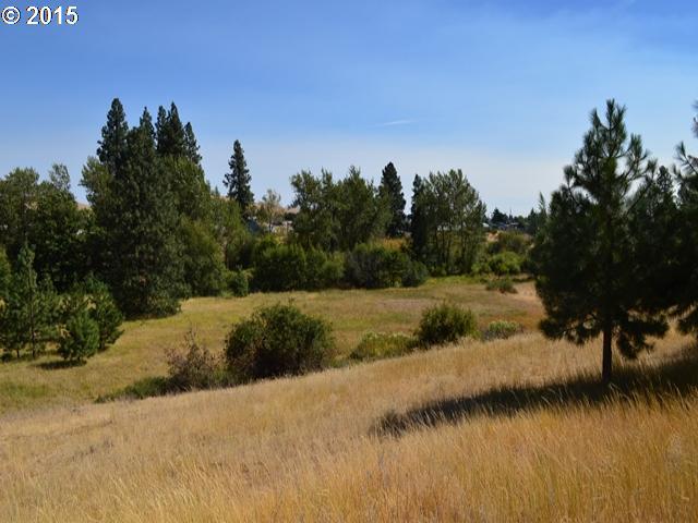 714 Pipeline Road Goldendale, WA 98620 - Photo 5 of 16 Gallery Image 5