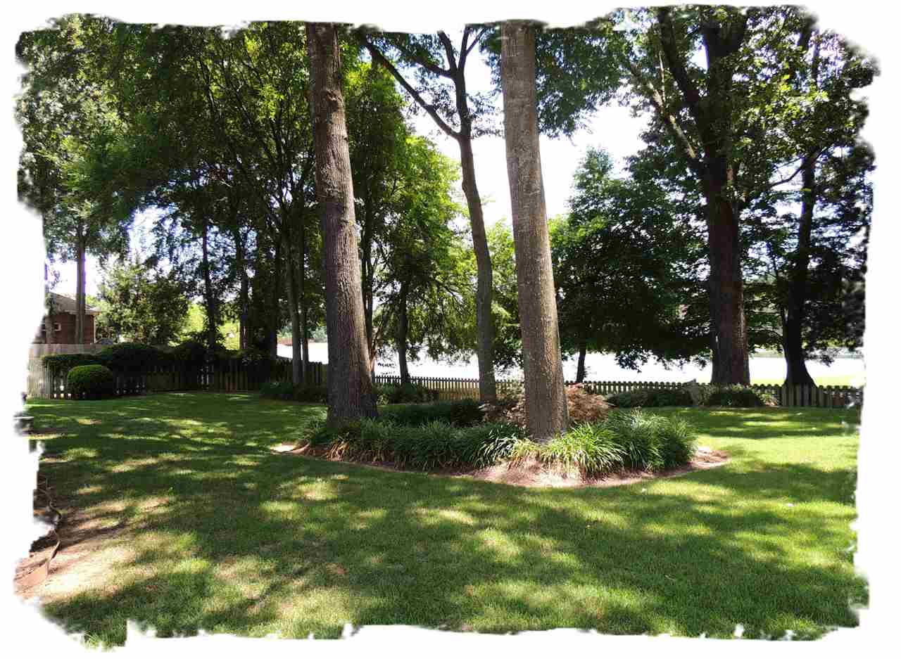 802 Timber Ridge Drive Collierville, TN 38017 - Photo 6 of 25 Gallery Image 6