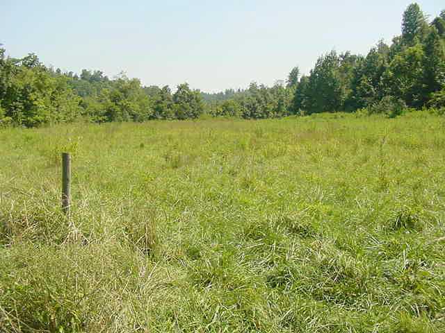 0 Lay Hollow Rd 0 Waynesboro, TN 38485 - Photo 5 of 7 Gallery Image 5