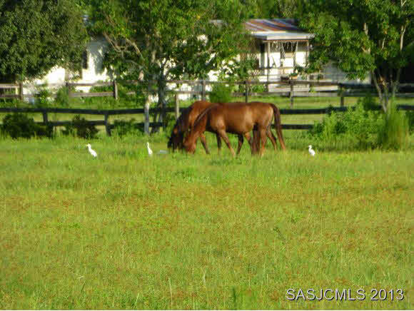 3119 Raulerson Road East St. Augustine, FL 32092 - Photo 9 of 9 Gallery Image 9