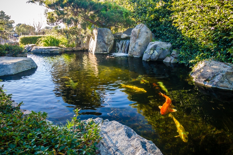 1492 Crest Road Del Mar, CA 92014 - Photo 7 of 19 Impressive Koi Pond