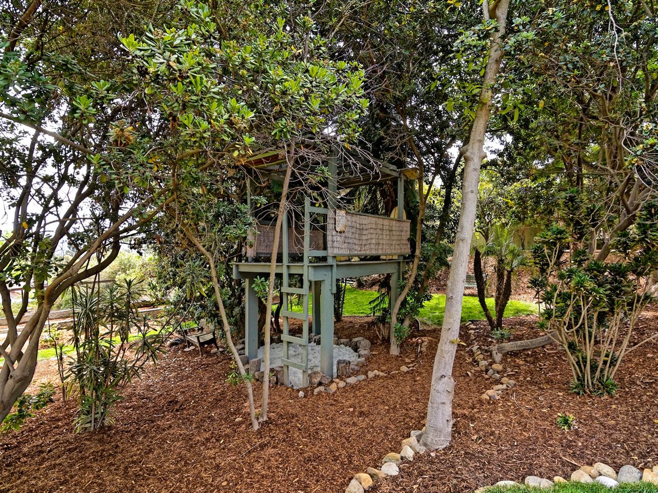 820 Woodside Lane Encinitas, CA 92024 - Photo 6 of 25