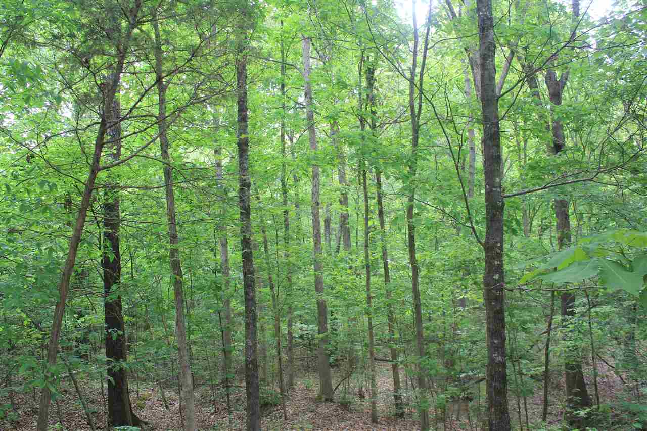 201 Davis Road Byhalia, MS 38611 - Photo 18 of 24 Gallery Image 18