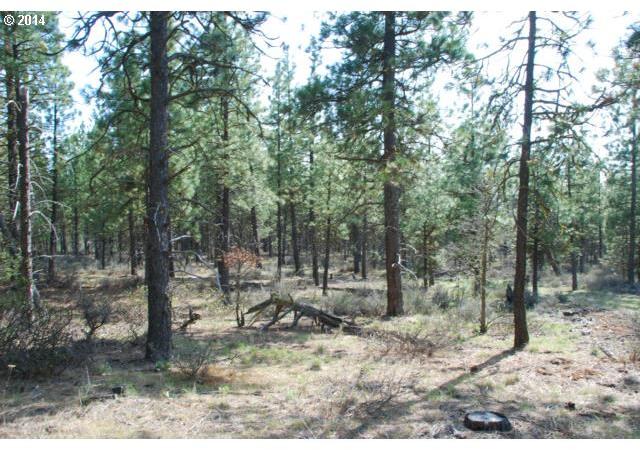 Box Canyon Road, Unit 1 Goldendale, WA 98620 - Photo 11 of 15 Gallery Image 11