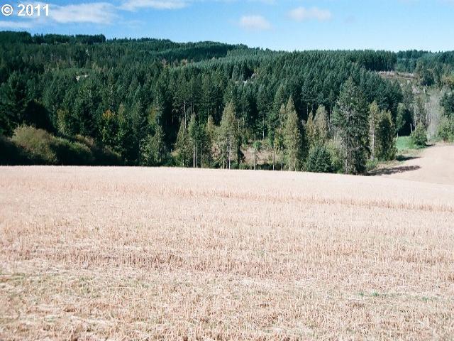 32680 Southwest Laurelview Road, Unit 900 Hillsboro, OR 97123 - Photo 5 of 5