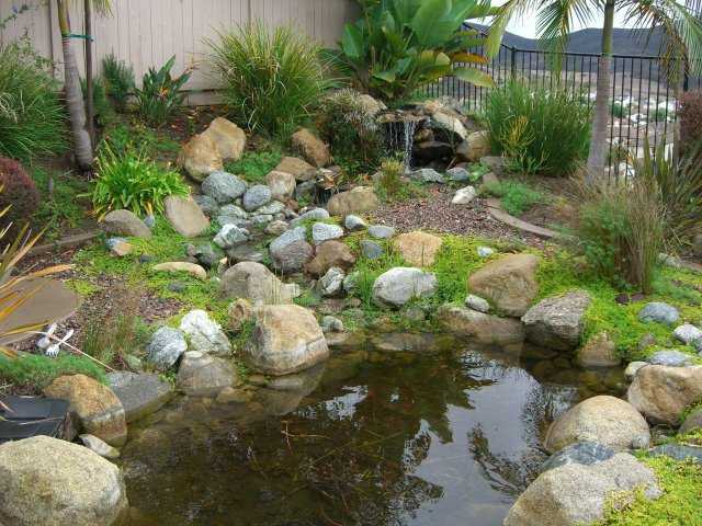 16158 Cayenne Ridge Road San Diego, CA 92127 - Photo 22 of 24