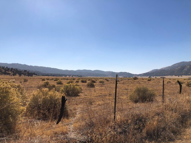 Walker Basin Road Caliente, CA 93518 - Photo 5 of 10 IMG_2706