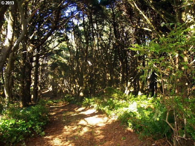 North Chantrelle Lane Gold Beach, OR 97444 - Photo 13 of 16