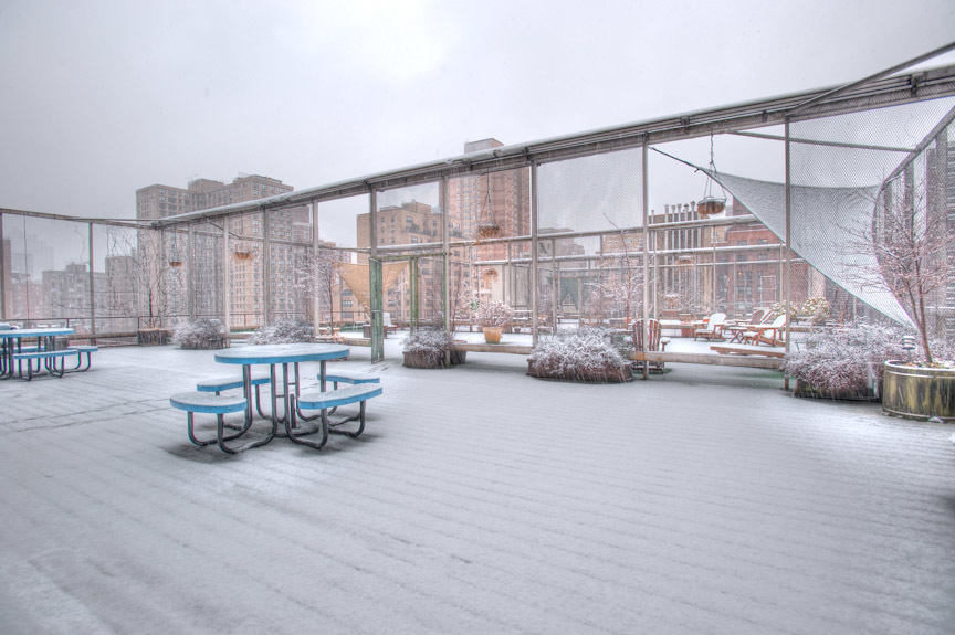 Penny Lane 215 E 24th St, Manhattan, NY 10010 - Photo 10 of 19