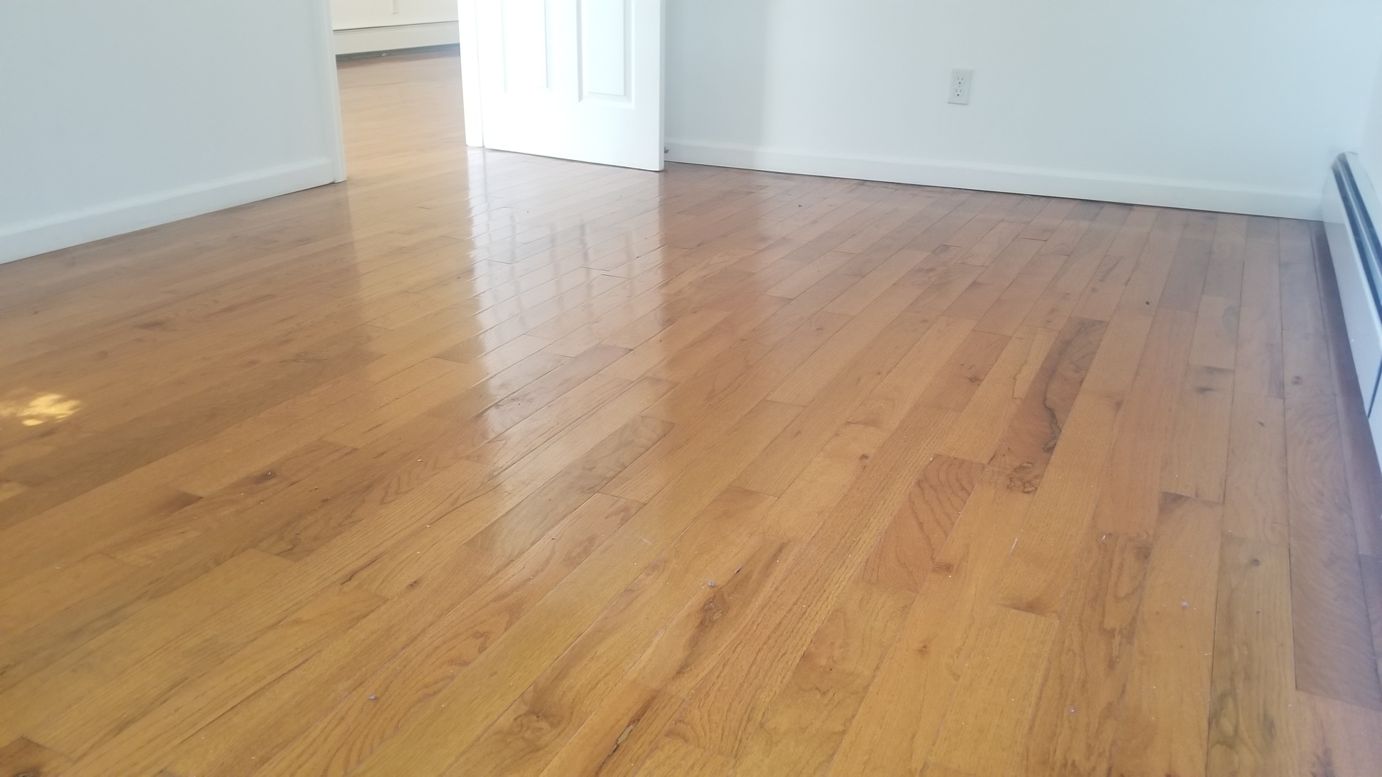 1259 Myrtle Avenue, Unit 2 Brooklyn, NY 11221 - Photo 2 of 6