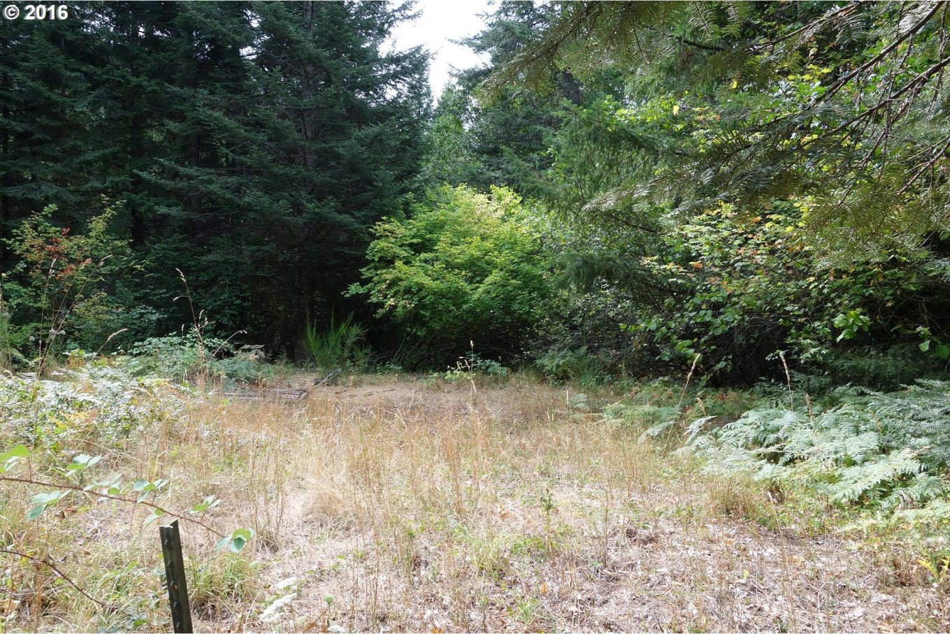 112 Hendryx Road White Salmon, WA 98672 - Photo 15 of 20 Gallery Image 15