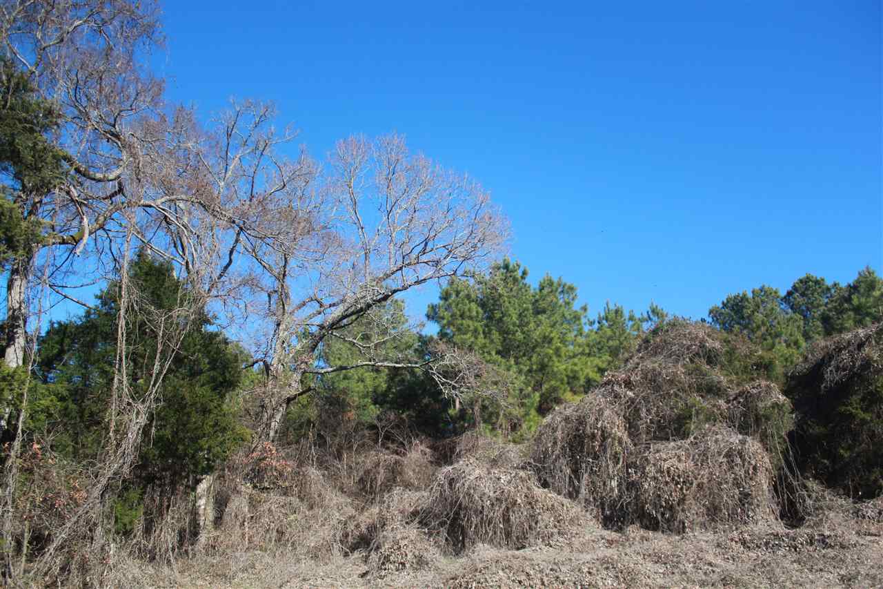 5690 Hernando Road Byhalia, MS 38611 - Photo 9 of 19 Gallery Image 9