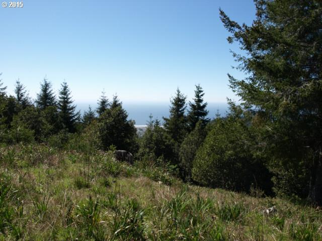 Grizzly Mountain Road, Unit 3A Gold Beach, OR 97444 - Photo 9 of 19 Gallery Image 9