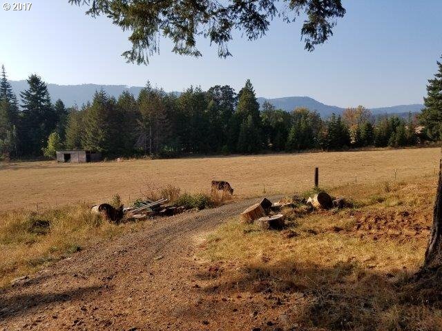 1070 Denn Road Camas Valley, OR 97416 - Photo 28 of 32