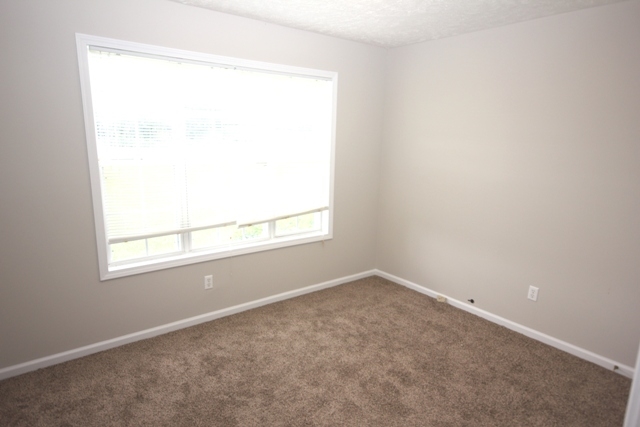 836 Douglas Road Stanton, TN 38069 - Photo 16 of 18