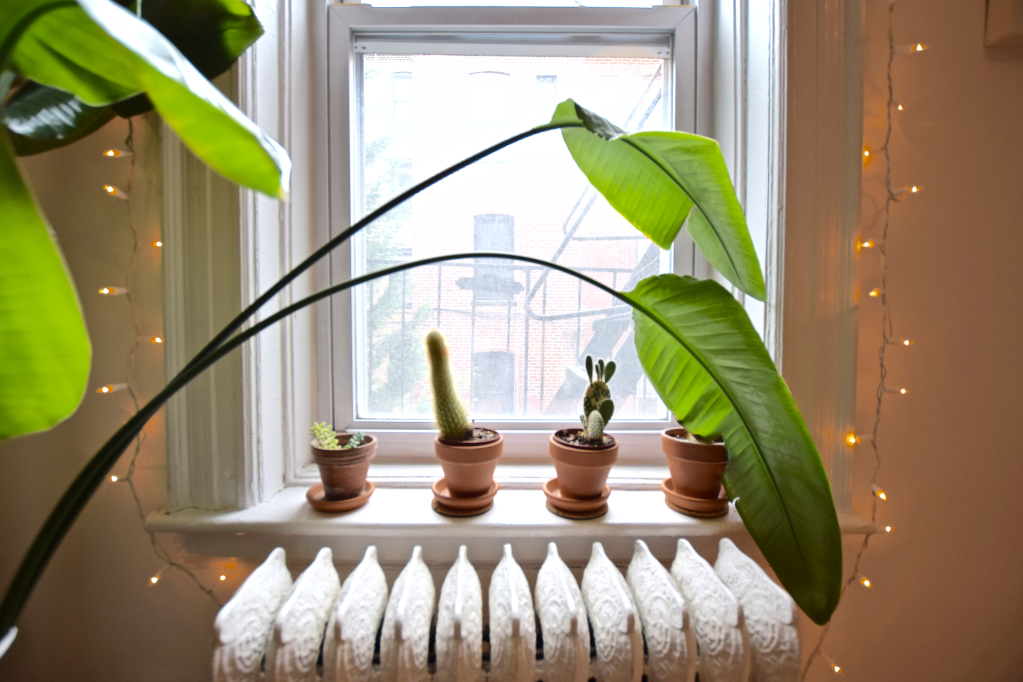574 5th Street, Unit 2B Brooklyn, NY 11215 - Photo 9 of 10