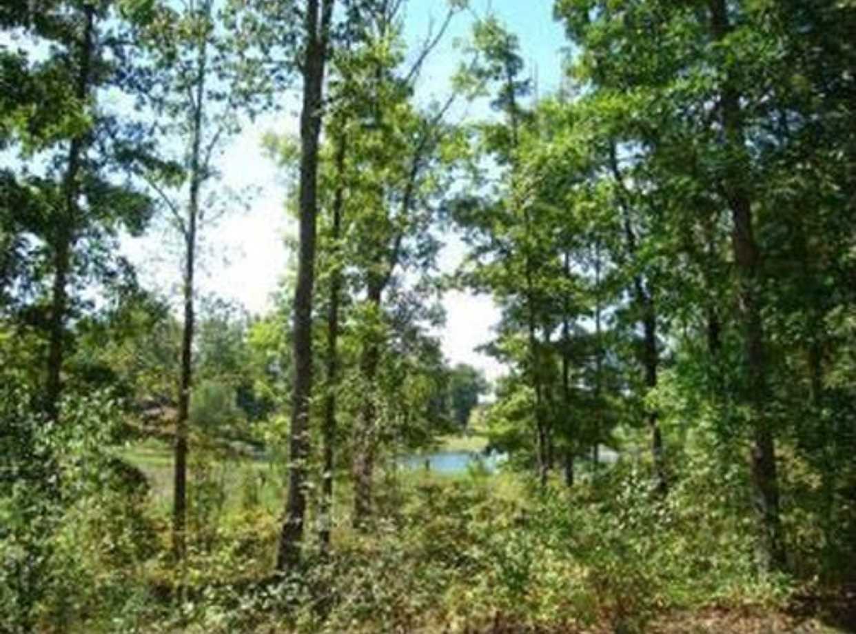 9866 Buttermilk Ridge Road Lawrenceburg, TN 38464 - Photo 15 of 17 Gallery Image 15