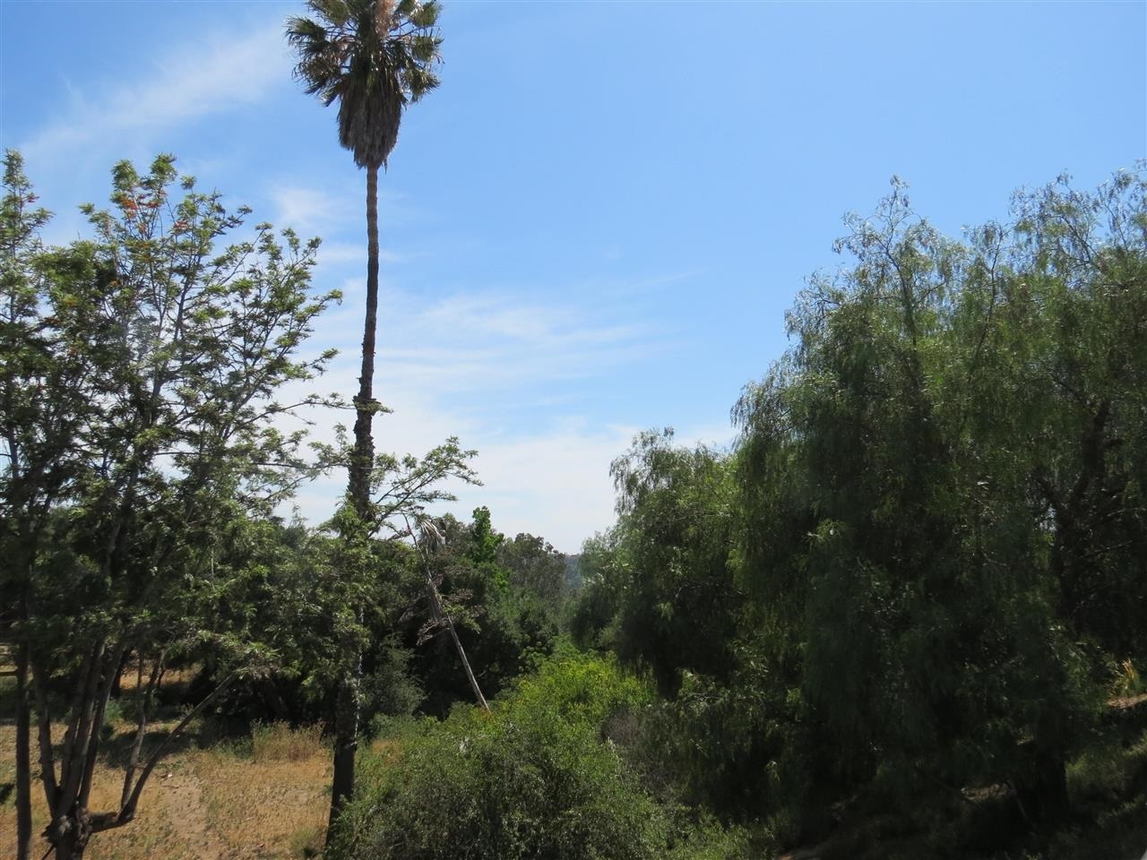 1223 Firecrest Fallbrook Ca Fallbrook, CA 92028 - Photo 5 of 13