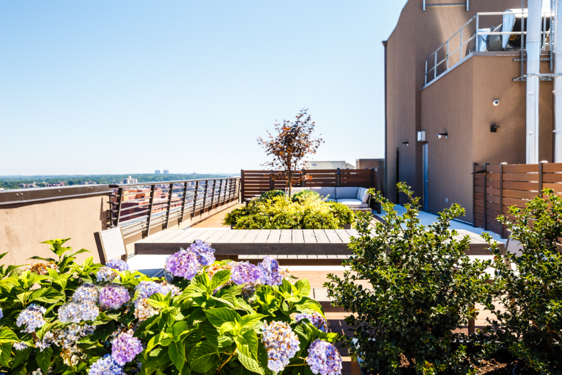 Alvista Towers 147-36 94th Ave, Queens, NY 11435 - Photo 4 of 4