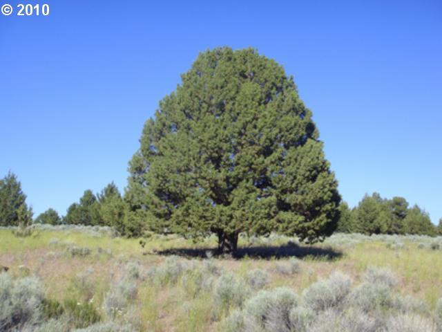 Derricks Cave Silver Lake, OR 97638 - Photo 11 of 11 Gallery Image 11