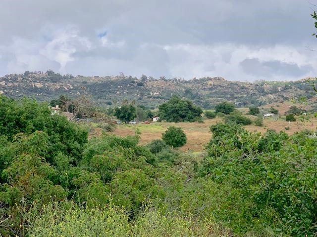 Camino Rainbow Fallbrook Ca Fallbrook, CA 92028 - Photo 19 of 25