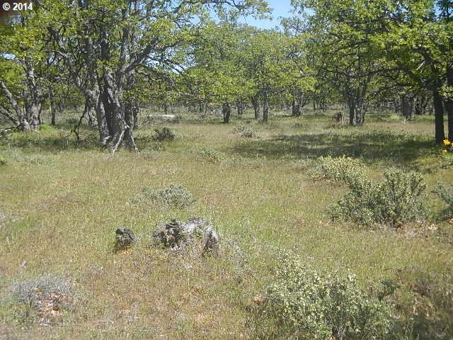 82 Old Mountain Road Goldendale, WA 98620 - Photo 5 of 10 Gallery Image 5