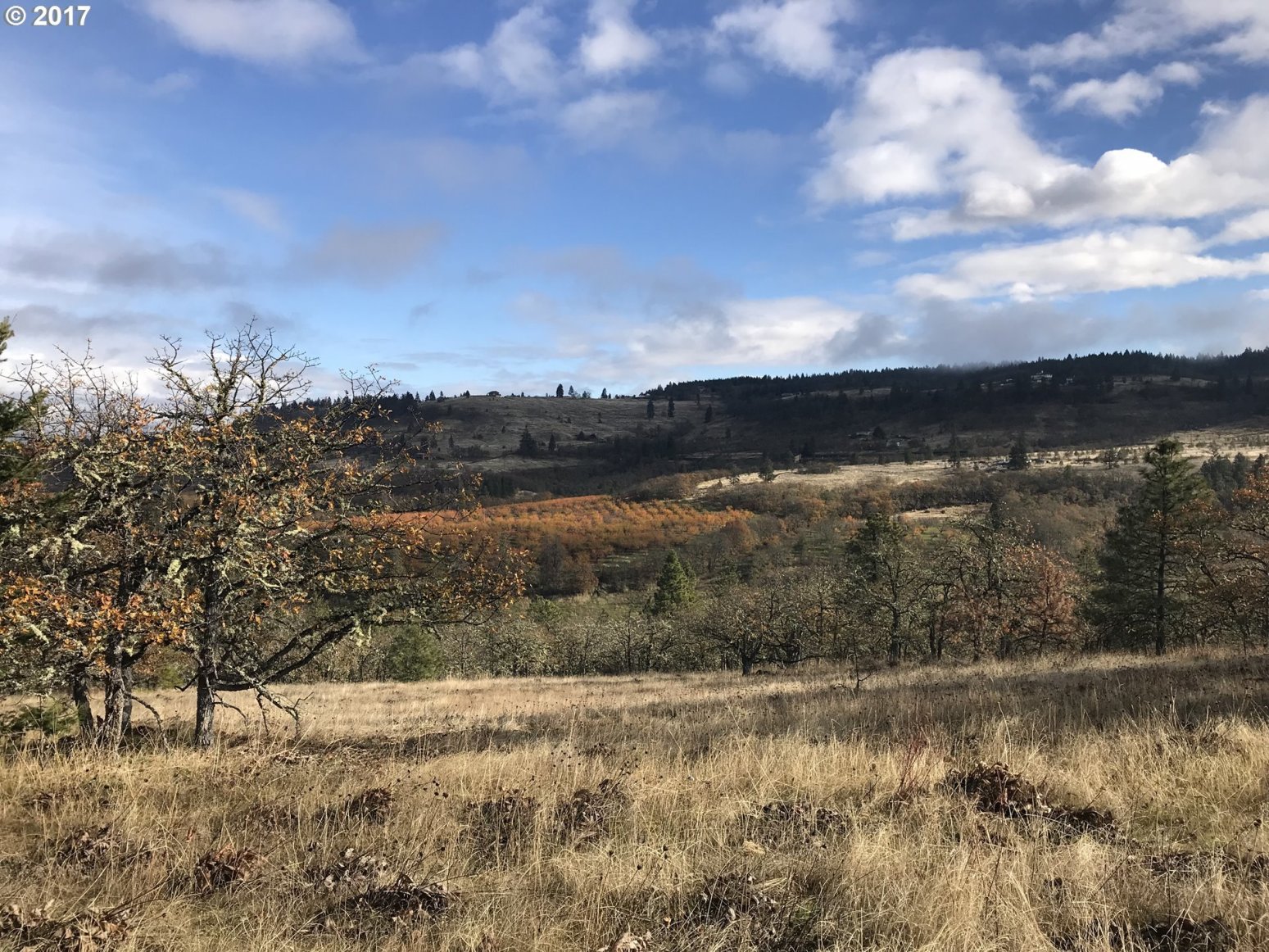 Carroll Road Mosier, OR 97040 - Photo 13 of 16 Gallery Image 13