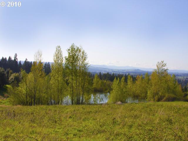 0 Southwest Lebeau Road Sherwood, OR 97140 - Photo 7 of 7 Gallery Image 7