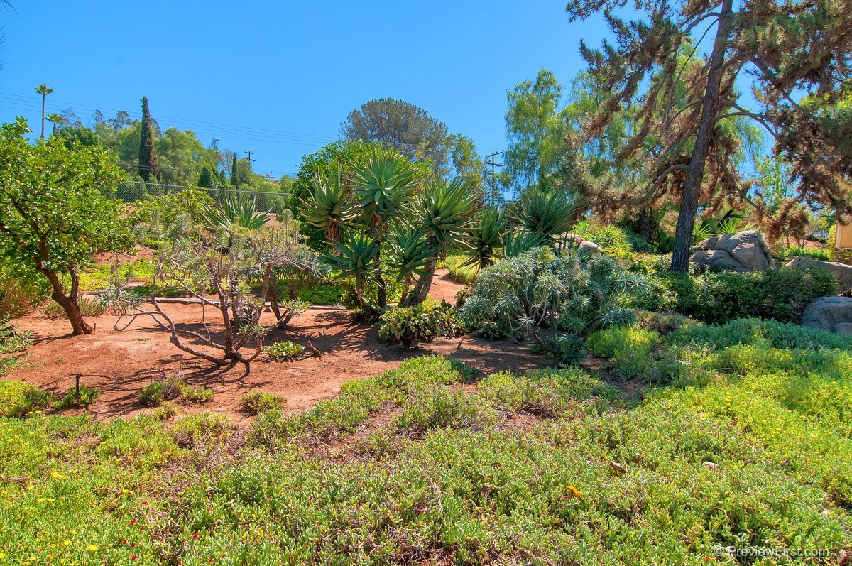 1222 Jamacha Road El Cajon, CA 92019 - Photo 5 of 25