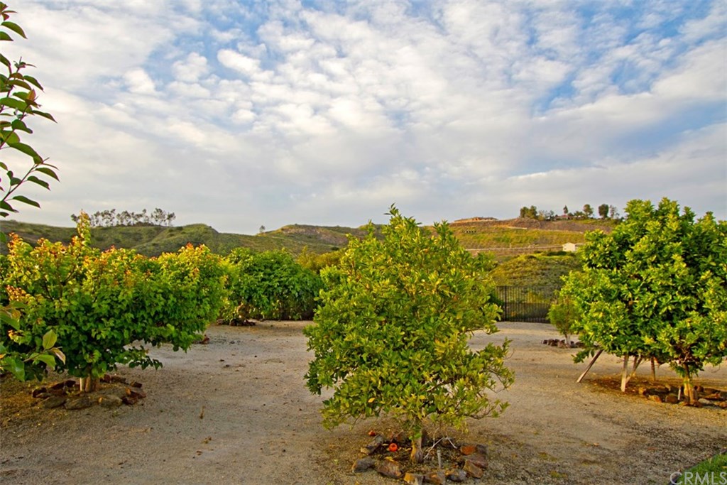 25652 El Chaval Place Temecula, CA 92590 - Photo 62 of 74