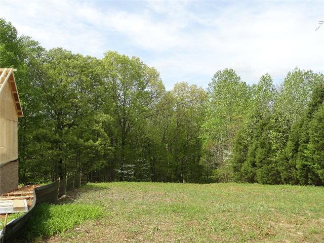 861 Belmont Road Clarksville, TN 37040 - Photo 4 of 4 View of the Very Private Side and Backyard.