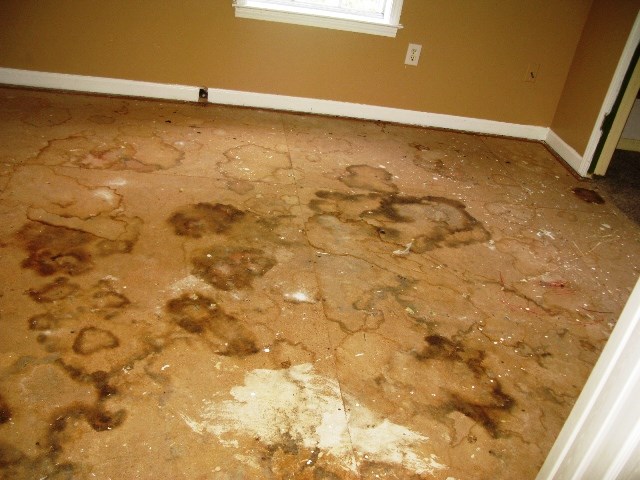 3164 Canyon Road Memphis, TN 38134 - Photo 16 of 21 Gallery Image 16