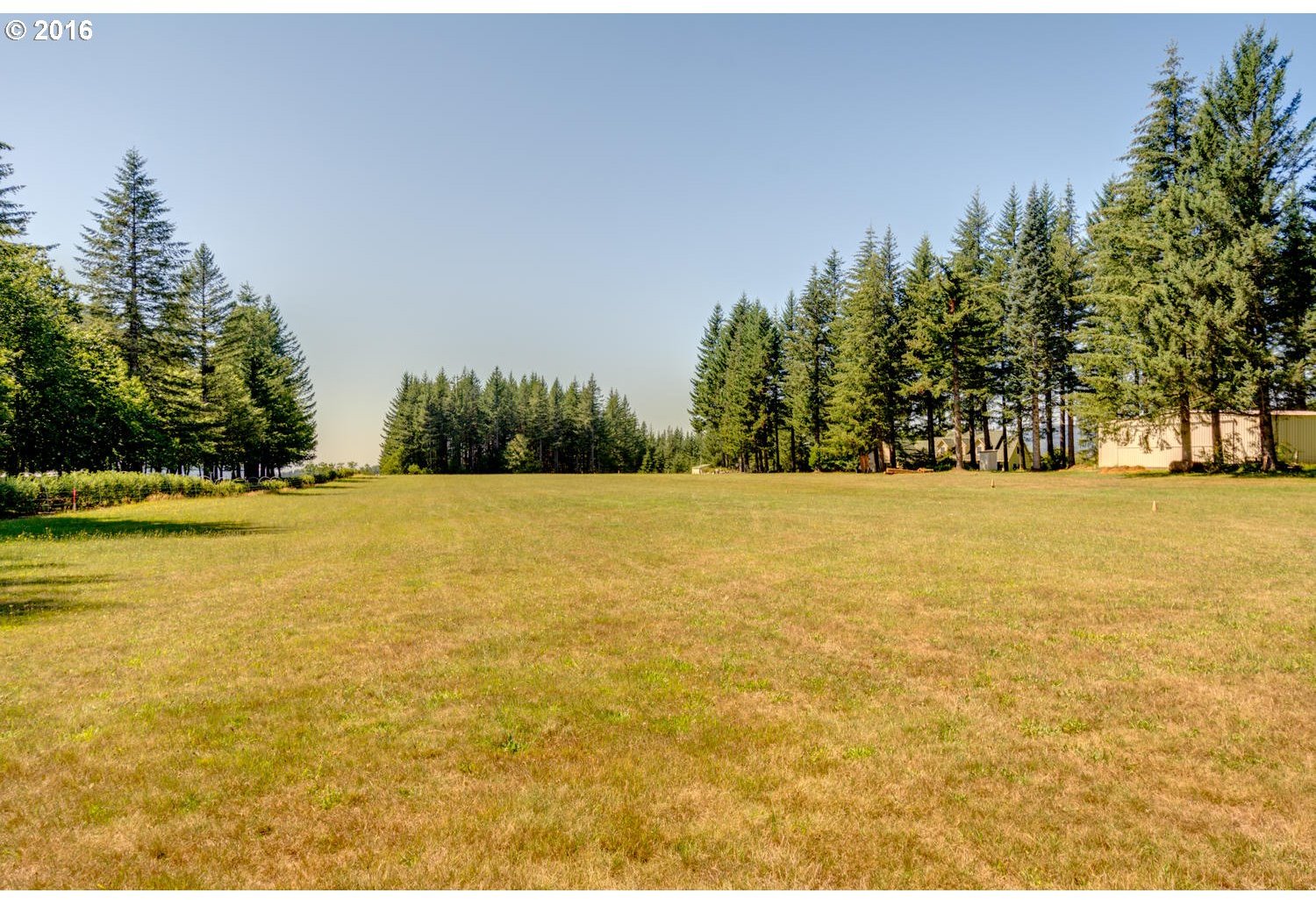 Skye Road, Unit 4 Washougal, WA 98671 - Photo 5 of 12 Gallery Image 5