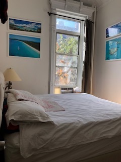 826 Union Street, Unit Lower Duplex Brooklyn, NY 11215 - Photo 7 of 12