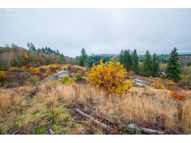 29890 East Meissner Road Deer Island, OR 97054 - Photo 16 of 22 Gallery Image 16