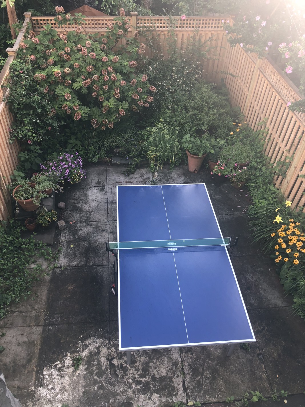 449 5th Street Brooklyn, NY 11215 - Photo 19 of 21