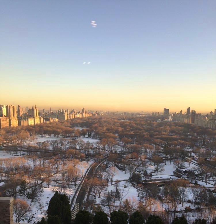 106 Central Park South, Unit 33A Manhattan, NY 10019 - Photo 16 of 17