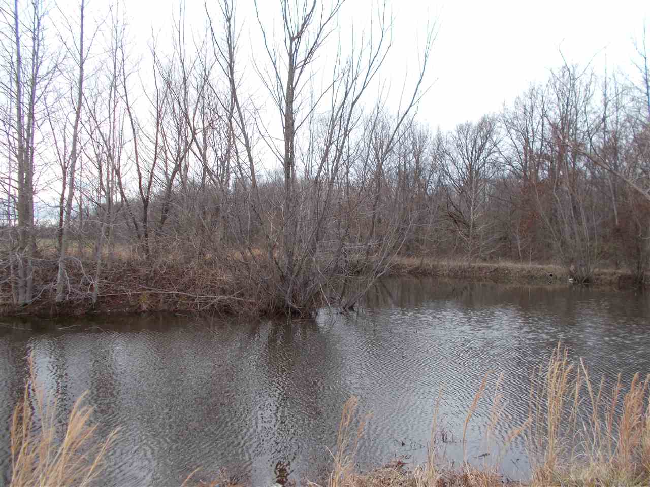 1656 Sanders Road Stanton, TN 38069 - Photo 17 of 19 Gallery Image 17