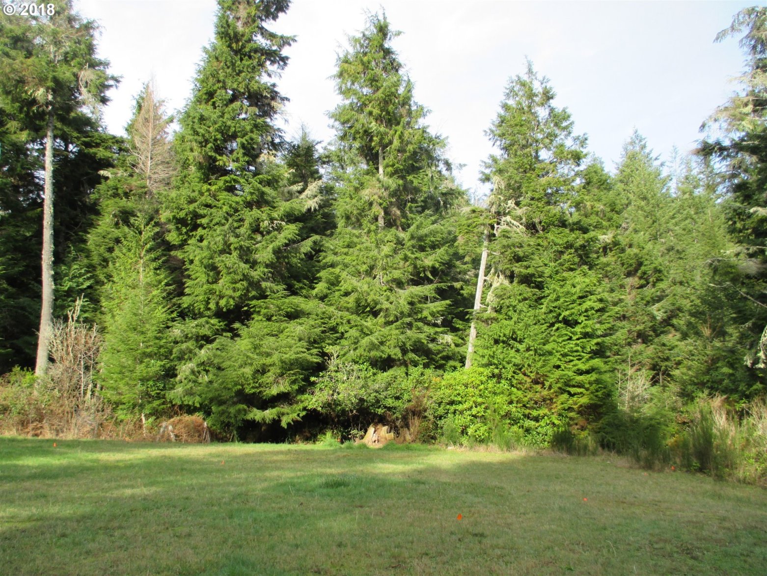 56534 Tom Smith Road Bandon, OR 97411 - Photo 13 of 28 Gallery Image 13