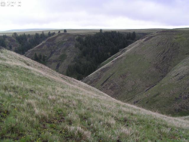 Zumwalt Road Imnaha, OR 97842 - Photo 9 of 11 Gallery Image 9