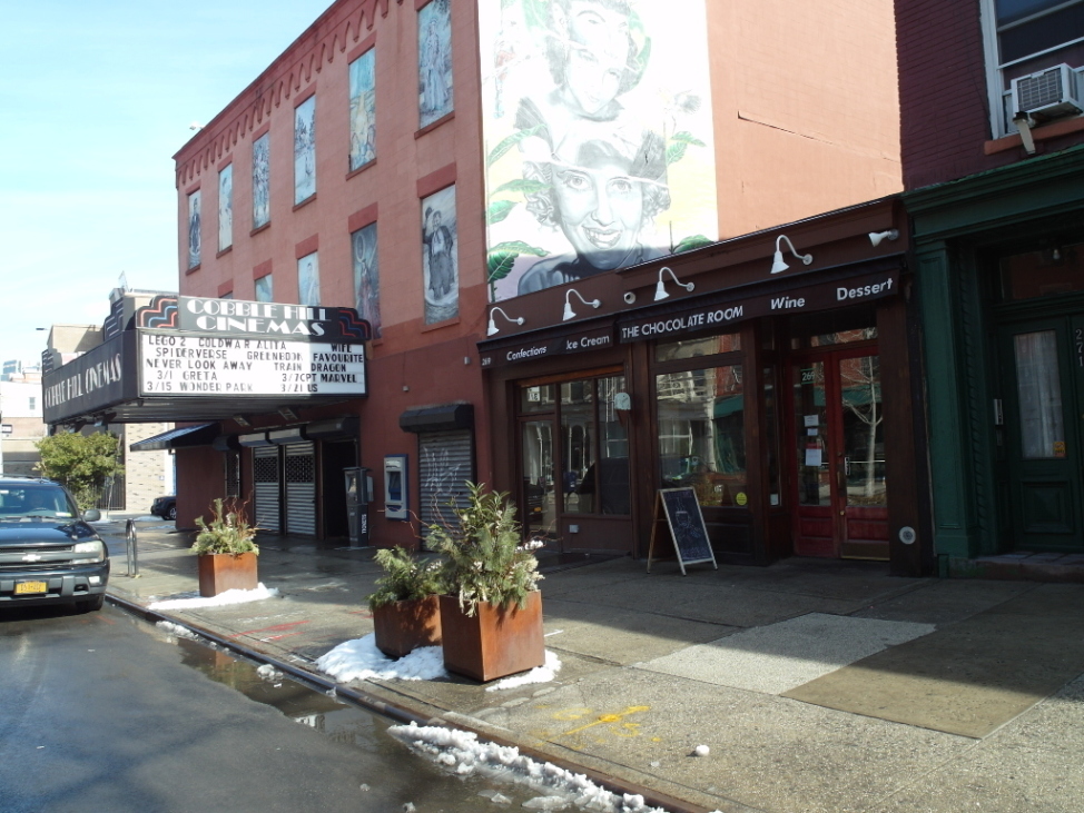 379 Clinton Street, Unit 2 Brooklyn, NY 11231 - Photo 12 of 12