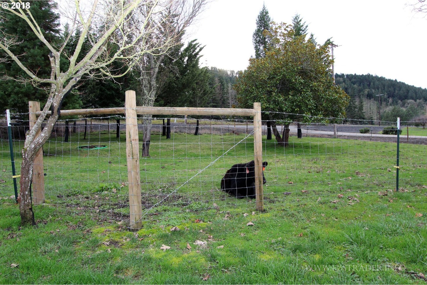 135 Strader Road Roseburg, OR 97470 - Photo 23 of 27 Gallery Image 23