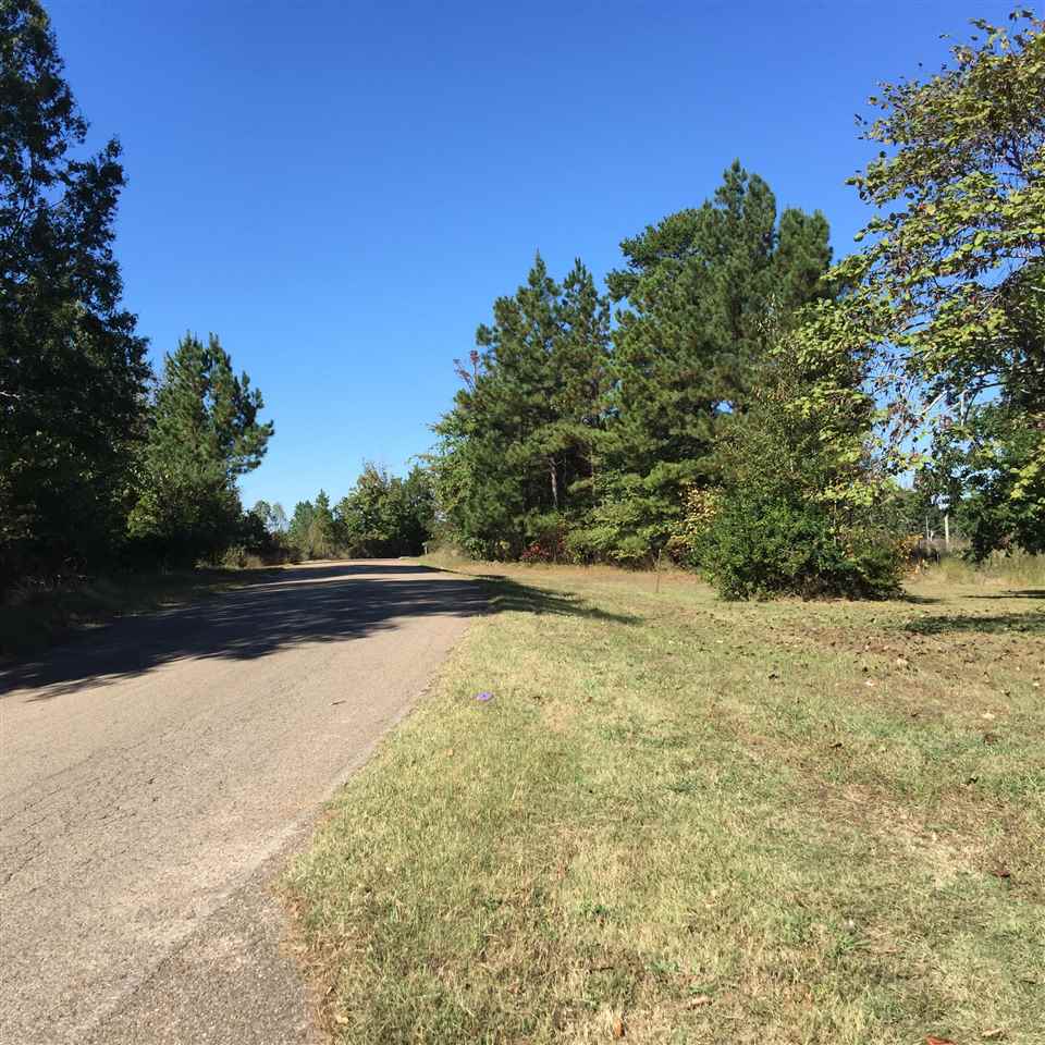 7770 Old Stage Road Adamsville, TN 38310 - Photo 6 of 17 Gallery Image 6