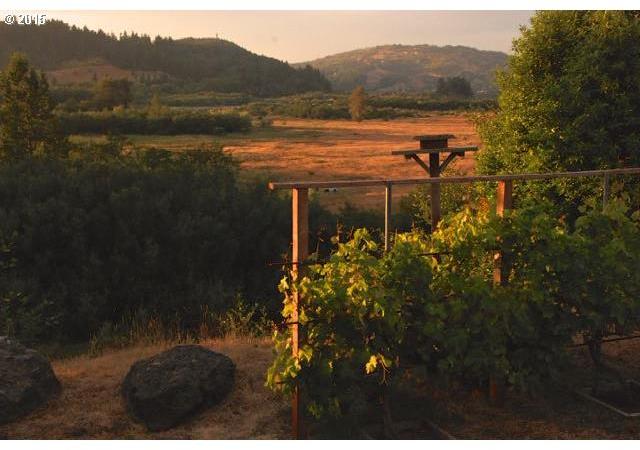 95255 Jerrys Flat Road Gold Beach, OR 97444 - Photo 16 of 25 Gallery Image 16